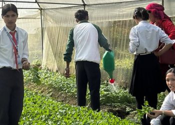 पढाइसँगै खेतीपातीमा रमाउँदै प्रद्युम्न पनेरू माविका विद्यार्थी